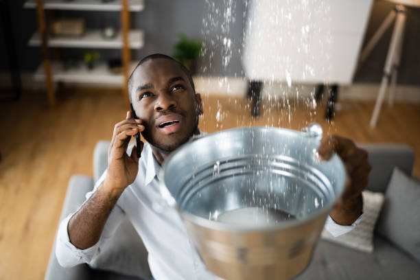 Best Mold removal after water damage  in Fanning Springs, FL