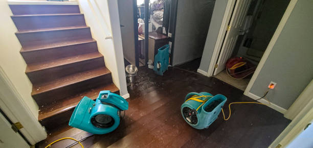 Best 24/7 water damage repair  in Fanning Springs, FL