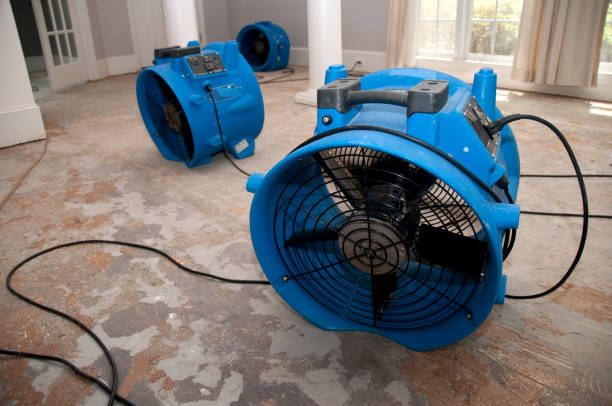 Best Water damage restoration near me  in Fanning Springs, FL
