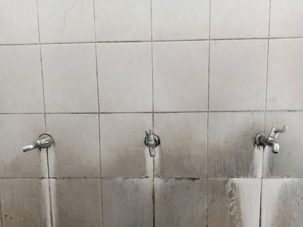 Best Water damage restoration mold remediation  in Fanning Springs, FL