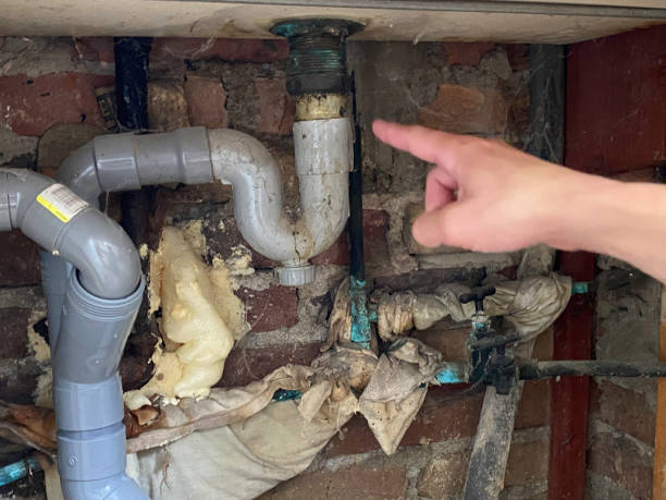 Best Water damage restoration process  in Fanning Springs, FL
